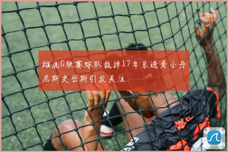 雄鹿G联赛球队裁掉17年乐透秀小丹尼斯史密斯引发关注